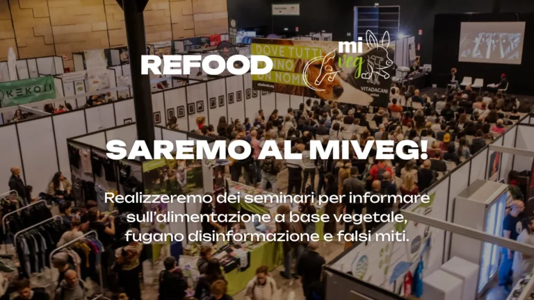 MiVeg 2025