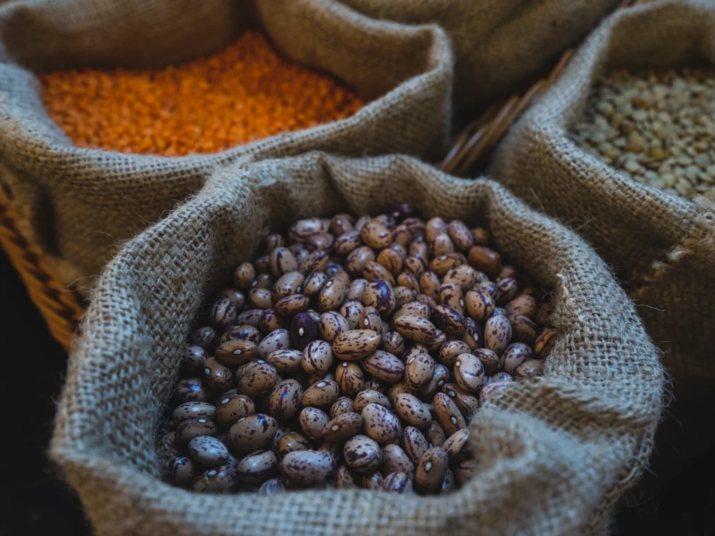 Meno carne, più legumi: il nuovo standard nutrizionale europeo è ufficialmente plant-forward