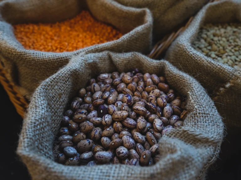 Meno carne, più legumi: il nuovo standard nutrizionale europeo è ufficialmente plant-forward