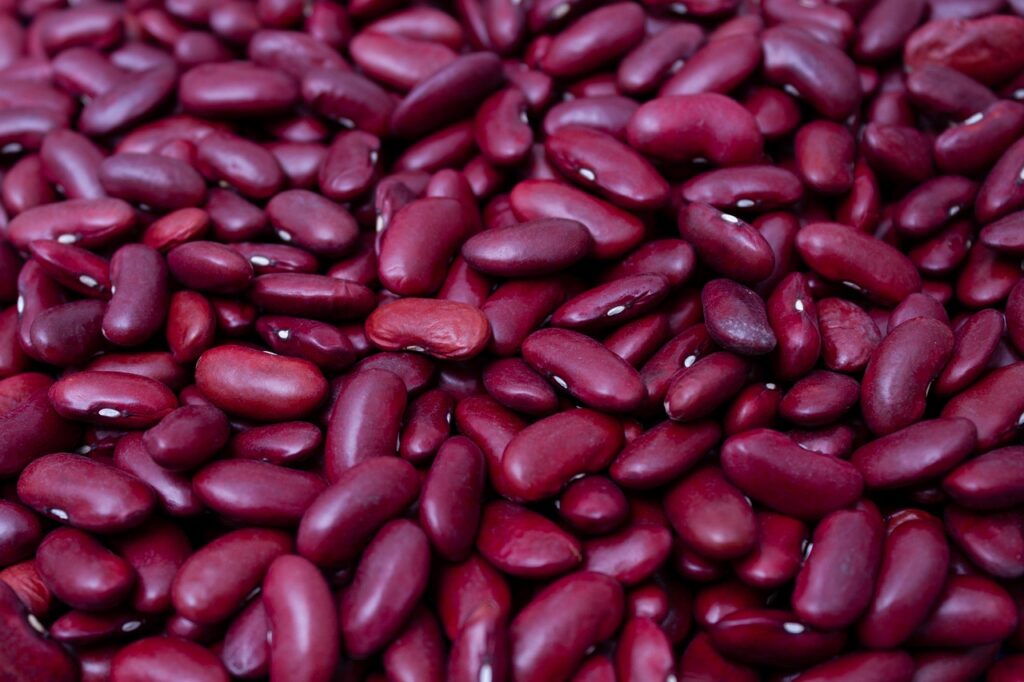 Protein Plan europeo: più mangimi che piatti. Un’occasione mancata per la transizione proteica?
